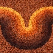 Vintage Pink Profile