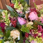 Little Village Profile