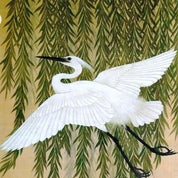 Willow & Crane Collection Profile