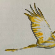 Golden Crane Profile