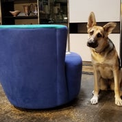 Janakos & Company Profile