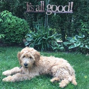 Monster Estate Sales Profile