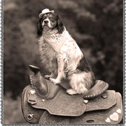 Cowbelles For Heart & Home Profile