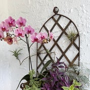 Seville Designs Profile