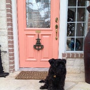 C the Light Interiors Profile