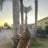 Edy S. Avatar