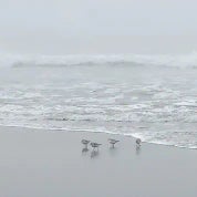 Catherine S. Profile