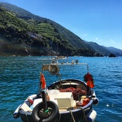 Cortado Vintage Profile