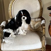 La Petite Chateau Profile