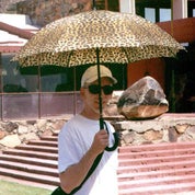 Scott Waterman Profile