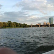 something brilliant Profile