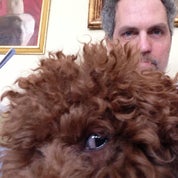 Colin Reed Art & Antiques Profile