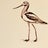 Avocet Arts Avatar