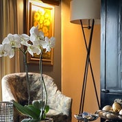 Interior Detailing Profile