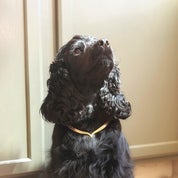 Heirloom Society Profile