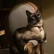 EurAsian Antiques & Curiosities Profile