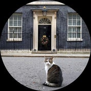 Laurel House Profile