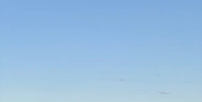 Shop Banner