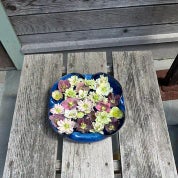 Mark’s Antique Attic Profile