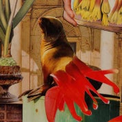 Pidduck Gallery Profile