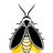 Firefly Landing Treasures Avatar