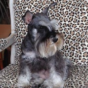 Fabulous Assets Profile