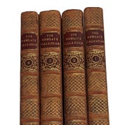 Halstead Books and Decor Profile