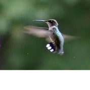 EyeCandy Art & Style Profile