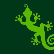 Salamander Vintage Profile