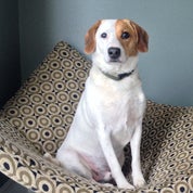 Mod and Ozzie Profile