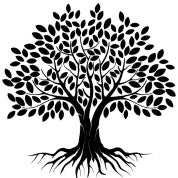 Constant Woodworks Profile