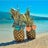 Pineappletini Avatar