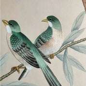 Sinowallstudio Profile