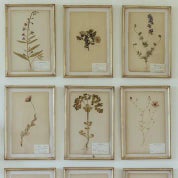 Ashley Holmes Design Profile