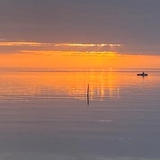 Modern Logic Profile