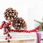 The Design Editors Profile