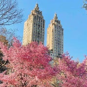 Basil Lawrence NYC Profile