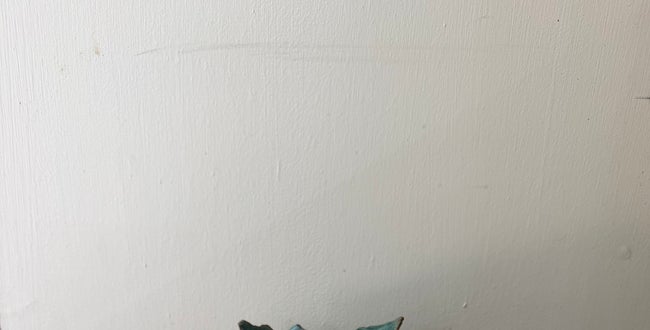 Shop Banner