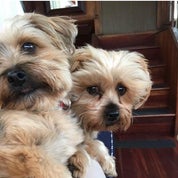 Coastal Lane Profile