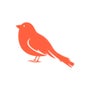 Shop House Finch