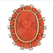 My Collection Profile