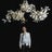 Andreea Braescu Porcelain and light installations Avatar