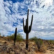 jai Studio interiors Profile