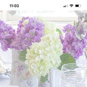 Malo Celo Antiques Profile