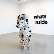 whats inside Profile