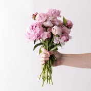 Simplicity By Design Profile