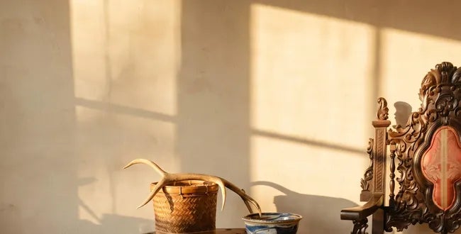 Shop Banner