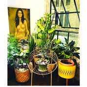 Viva La Vintage TX Profile