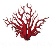 Casa Mare Vintage Profile