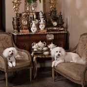 Inessa Stewart's Antiques Profile